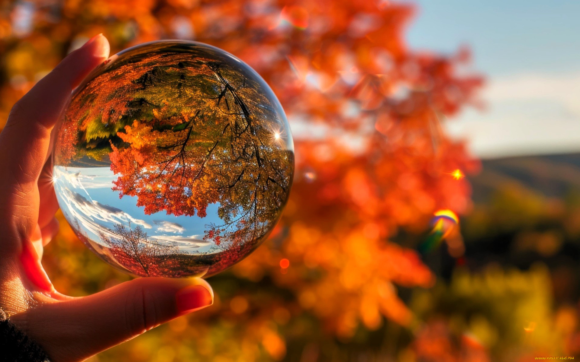 3 ,  , nature, , , , , , 